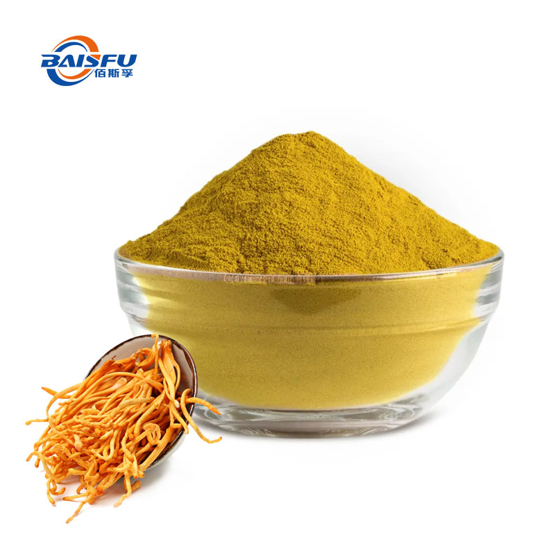 Top Grade Pure Cordyceps Militaris Extract Cordycepin