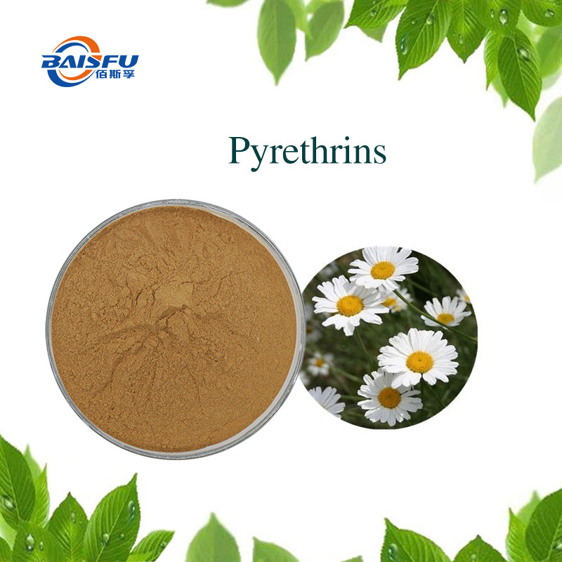 1% Pyrethrin Flavone Powder Used to Control a Wide Range of Pests