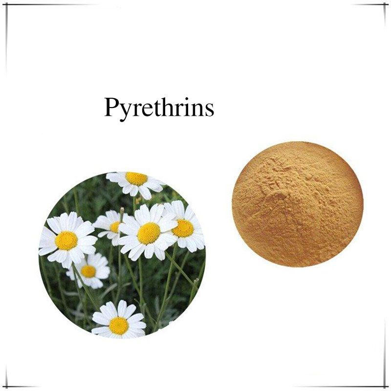 ​1% Pyrethrin  Powder