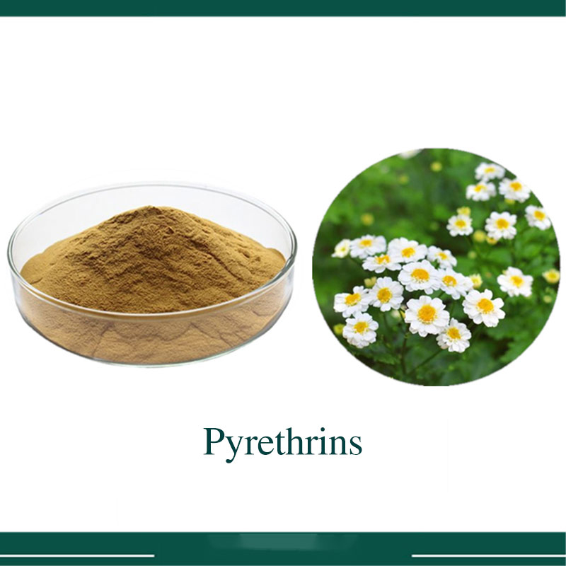 1% Pyrethrin Flavone Powder
