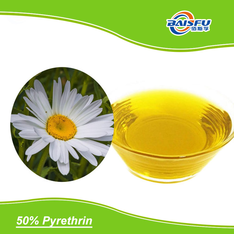 Pyrethrum Extract