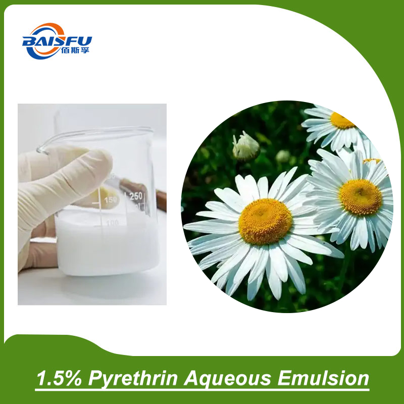 Pyrethrum Extract