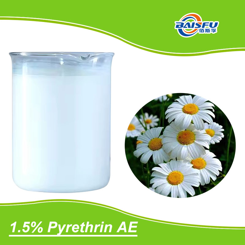 Pyrethrum Extract