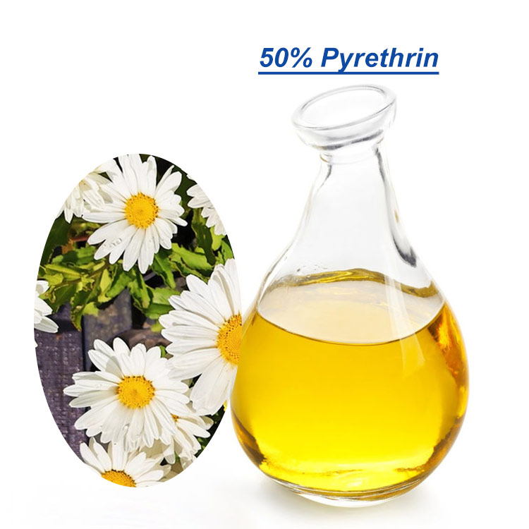 Baisifu Pyrethrum Extract Water-Soluble Pyrethrins 50% CAS: 8003-34-7