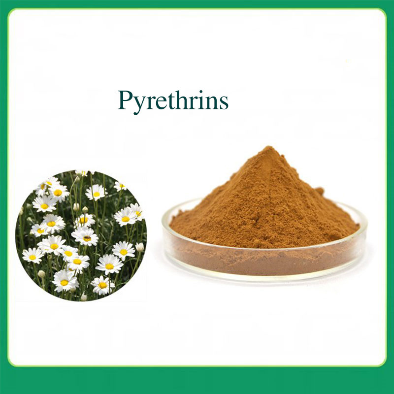 1% Pyrethrin Flavone Powder